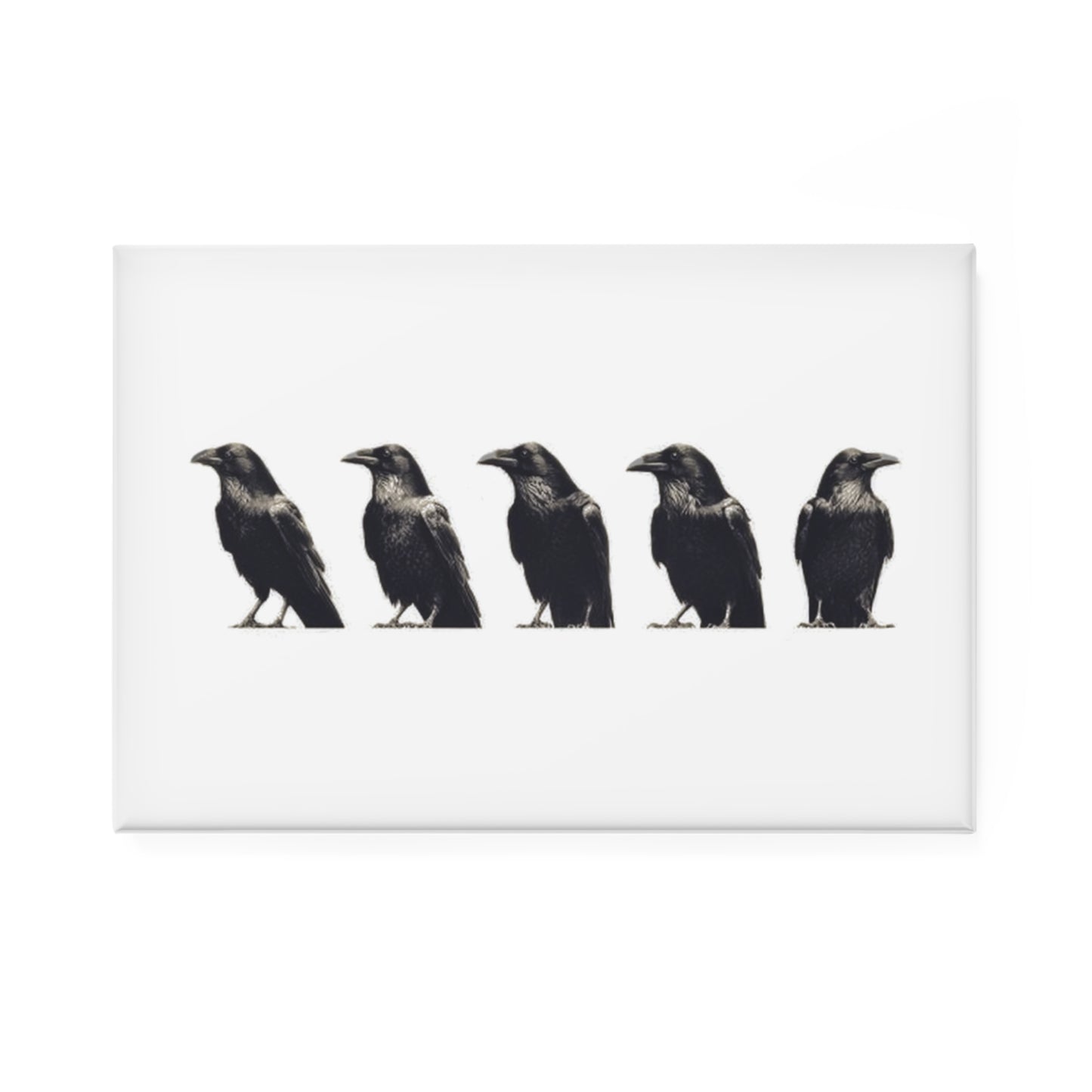 Smith & Raven | Row of Ravens | Rectangle Bird Illustration Magnet